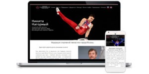 Реализованный кейс — Федерация спортивной гимнастики города Москва