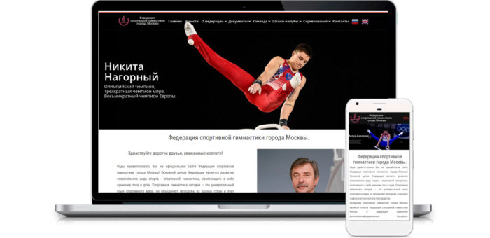 Федерация спортивной гимнастики города Москва